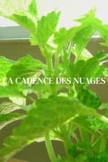 Poster for La cadence des nuages