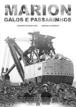 Poster for Marion, Galos e Passarinhos
