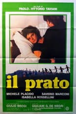 Poster for The Meadow