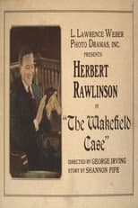 Poster for The Wakefield Case