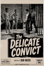Poster for Delicate Convict