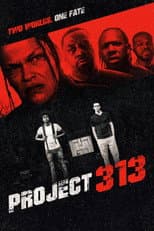 Poster for Project 313