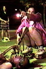 Poster for Window 13