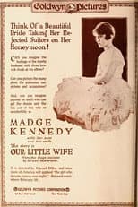 Poster for Our Little Wife