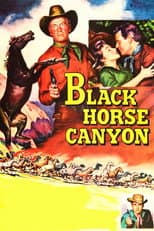 Poster for Black Horse Canyon
