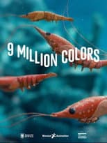 Poster for 9 Million Colors