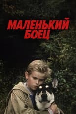 Poster for Little Fighter
