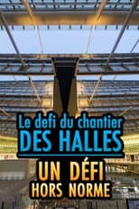 Poster for Le chantier des Halles : un défi hors norme