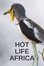 Poster for Hot Life Africa