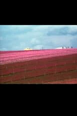 Poster for Flower Fields