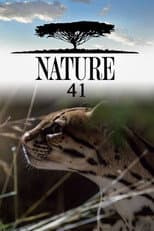 Poster for Season 41