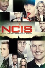 Poster for Season 15
