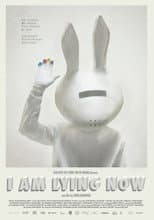 Poster for I Am Lying Now