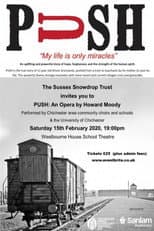 Poster for Push - Moody