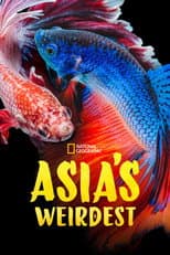 Poster for Asia's Weirdest