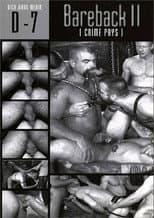 Poster for Bareback II: Crime Pays