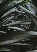 Poster for Sensation '77: Mimicry