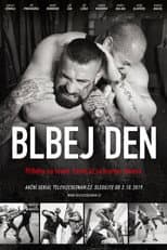 Poster for Blbej den