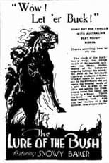 Poster for The Lure of the Bush