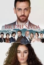 Poster for Bir Deli Sevda