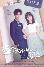Poster for It's Hard to Be a Lady