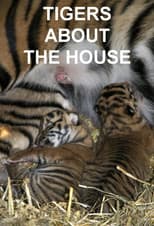 Poster for Tigers About the House