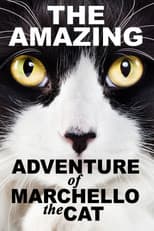 Poster for A Cat's Tale