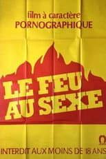 Poster for Le feu au sexe