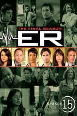 Poster for Season 15