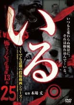 Poster for 「Iru.」~ Kowasugiru Tōkō Eizō 13-hon ~ Vol.25