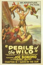 Poster for Perils of the Wild
