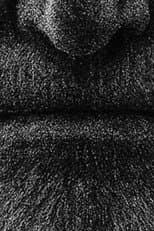 Poster for The Relict