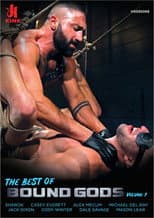 Poster for The Best of Bound Gods 1