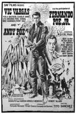 Poster for Brando Bandido