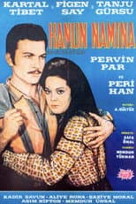 Poster for In the name of the Law