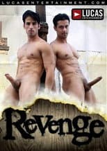 Poster for Revenge