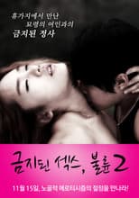 Poster for Forbidden Sex: Affair 2