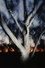Poster for The Land at Night