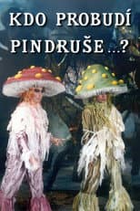Poster for Kdo probudí Pindruše...?