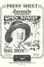 Poster for Open Spaces