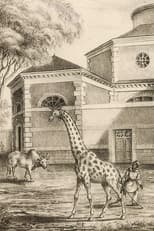 Poster for Night Falls on the Menagerie