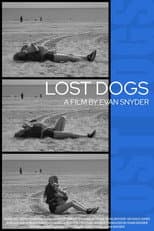 Poster for Lost Dogs