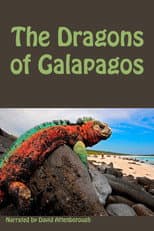 Poster for The Dragons of Galapagos