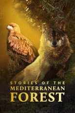 Poster for Stories of the Mediterranean Forest