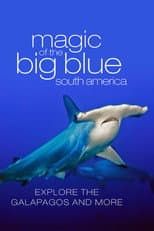 Poster for The Magic of the Big Blue. Seven Continents