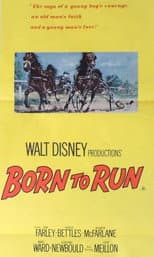Poster for Born to Run