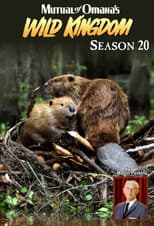 Poster for Season 20