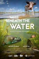 Poster for Waves Beneath The Water, Secrets of freshwater life revealed