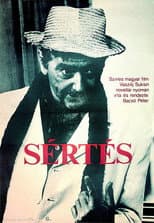 Poster for The Insult