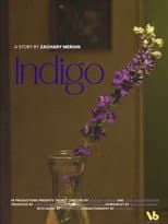 Poster for INDIGO